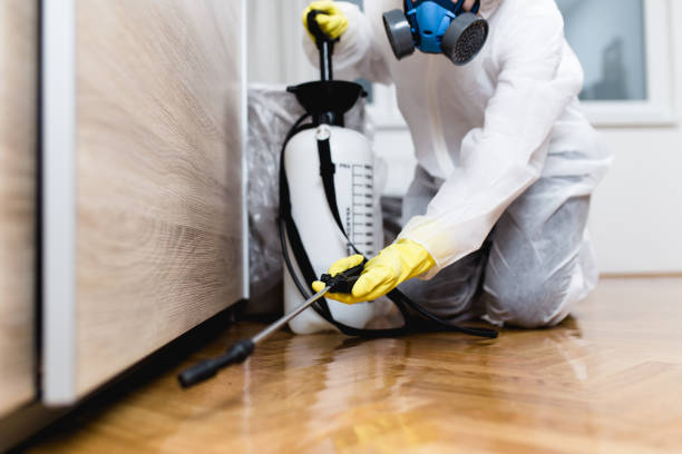 Best Residential Pest Control  in Grabill, IN