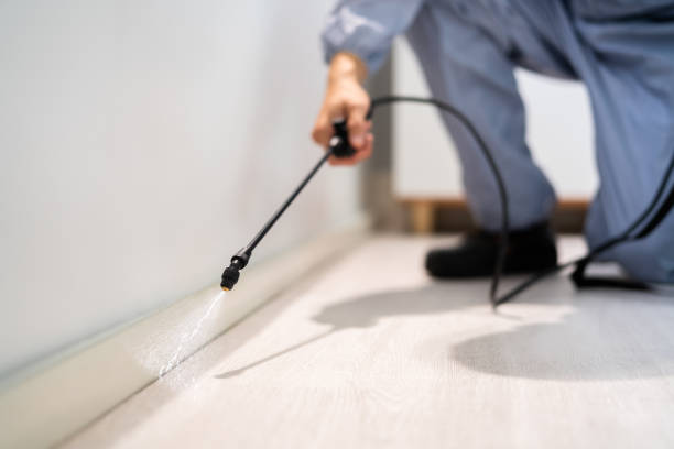 Flea Control Services in Grabill, IN