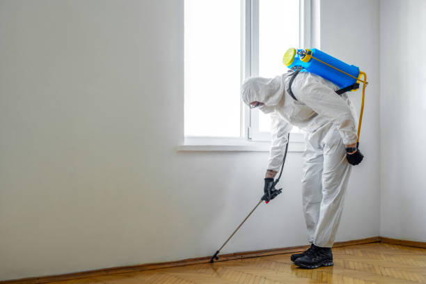 Best Affordable Pest Control Services  in Grabill, IN