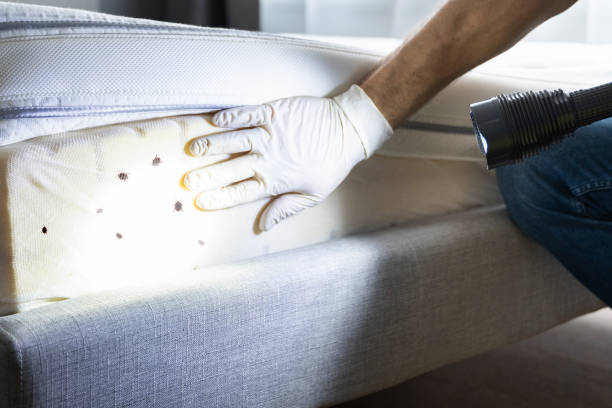 Best Cockroach Control Services  in Grabill, IN