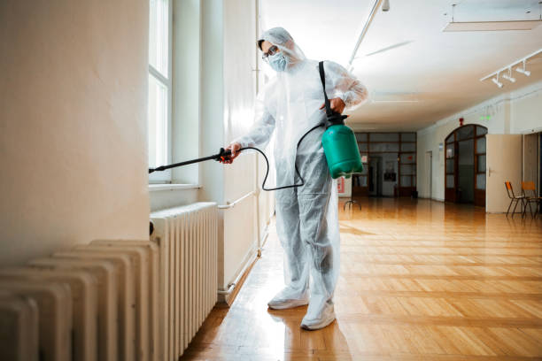 Best Termite Control Services  in Grabill, IN