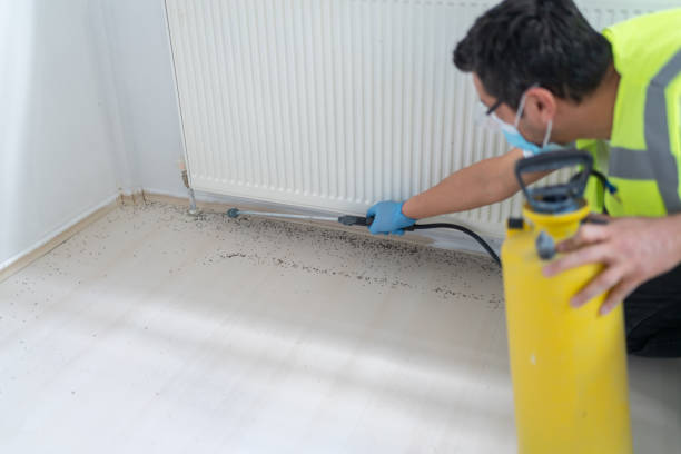 Best Pest Removal Services  in Grabill, IN
