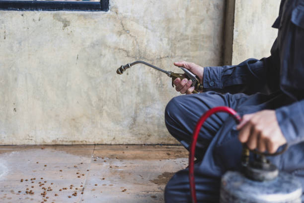 Best Best Pest Control Companies  in Grabill, IN
